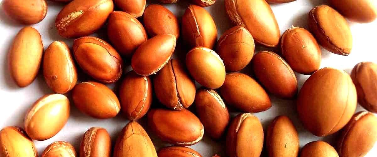 Edible Argan With Salt